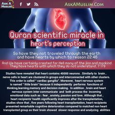 an article about the health benefits of heart and brain cells in human body, with caption