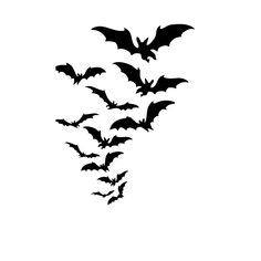 a bunch of bats flying in the air with their wings spread out to spell out something