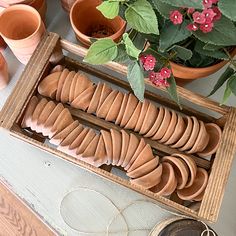 a wooden box filled with lots of different types of clay pieces next to potted plants