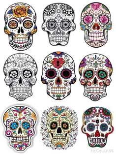 six sugar skulls with different colors and designs on the faces, all in different styles