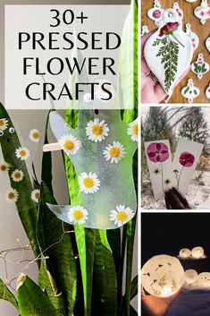 some flowers are being made out of paper and placed on top of each other with the words, 30 pressed flower crafts