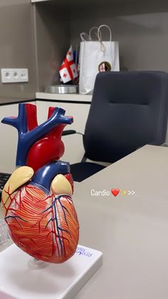 a heart model sitting on top of a table next to a laptop computer in an office