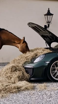 a horse is eating hay out of a car's hood on top of a green sports car