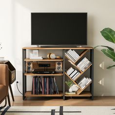 a living room with a television and bookshelf in front of a large potted plant