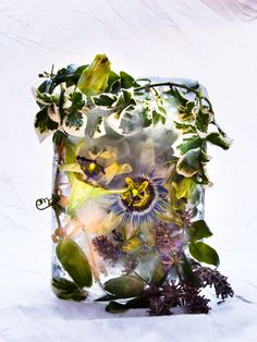 a glass vase filled with flowers and leaves