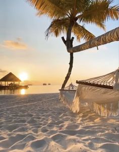 a hammock hanging from a palm tree on the beach at sunset or sunrise