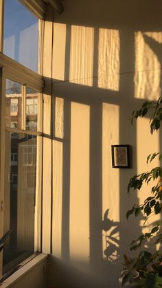 the sun is shining through some windows in an apartment building with plants growing on the ledge