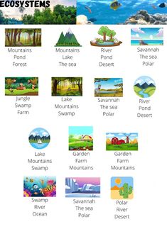 an image of the ocean and landforms with different types of animals, plants, and other