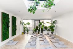 an indoor yoga studio with many mats on the floor and plants in potted planters