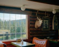 a deer head mounted to the side of a wooden wall next to two leather chairs