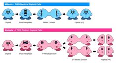 an image of different types of pacman in the process of making them look like they are