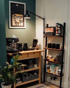 a coffee shop with shelves and various items on the shelf, along with a potted plant