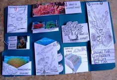 a bulletin board with pictures and writing about corals on the bottom, surrounded by other items