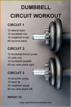 the dumbbell circuit workout is shown with instructions