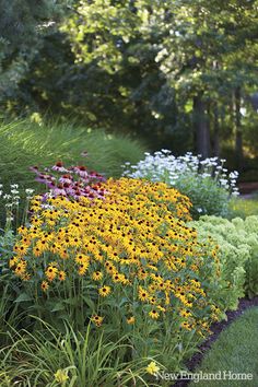 an assortment of colorful flowers in a garden