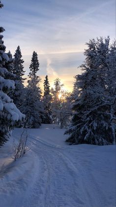 the sun is setting behind some snow covered trees