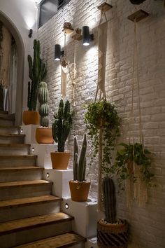 several potted plants are lined up on the wall next to some stairs and lights