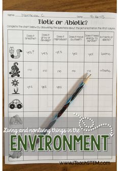 an activity sheet with the words environmental on it