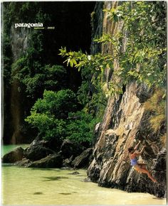 a person jumping off the side of a cliff into a body of water with trees in the background