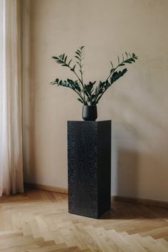 a plant in a black vase sitting on top of a wooden floor next to a window