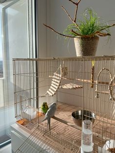 a bird in a cage next to a window with a plant on top of it