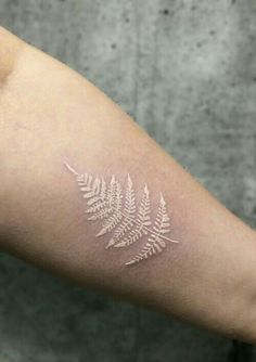 a white fern leaf tattoo on the arm