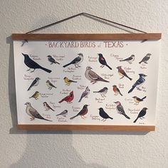 a sign hanging from the side of a wall with different kinds of birds on it