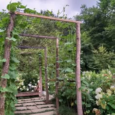 an outdoor garden with lots of plants and flowers