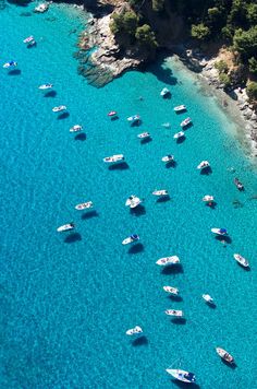 several boats floating in the blue water next to each other