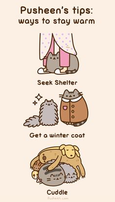 an image of cats and dogs in different colors on a white background with the words, seek shelter get a winter coat cuddle