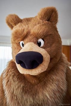 a large brown teddy bear with big eyes