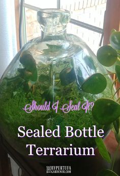 a glass bottle filled with water and plants