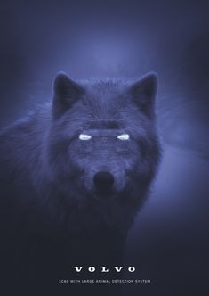 a wolf with glowing eyes in front of a dark background and the words volvo on it