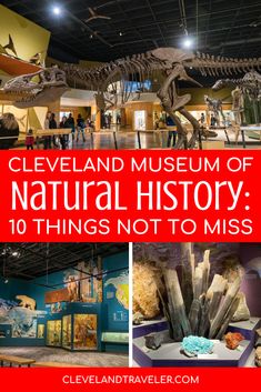 the cleveland museum of natural history with text overlay that reads cleveland museum of natural history 10 things not to miss