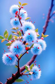 blue flowers with green leaves and red berries on a tree branch against a blue sky