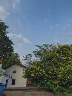 a tree with yellow flowers in front of a house