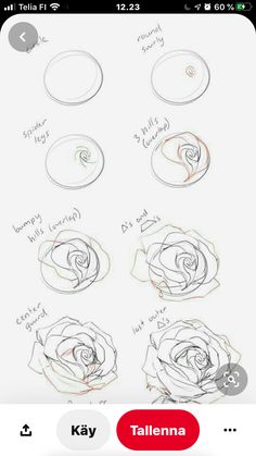 how to draw roses with pencils and markers on the app store's iphone