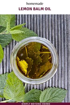 lemon balm oil in a jar surrounded by leaves