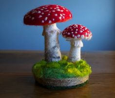 two small mushrooms sitting on top of a wooden table