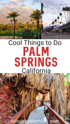 palm trees and the words cool things to do in palm springs, california with text overlay