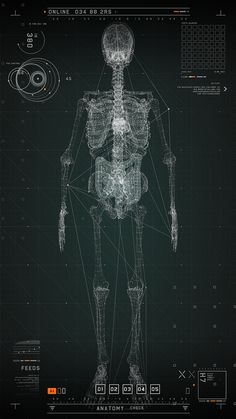 an image of a human skeleton on a black background with lines and dots around it