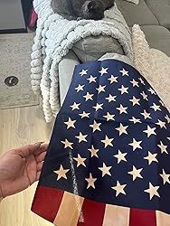 a dog laying on top of a couch with an american flag covering it's face