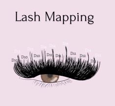 Lash Mapping Ideas, Lash Artist Tattoo Ideas, Prices For Lashes, Eyelash Extensions Chart, Lash Instagram Name Ideas, Lash Models Needed Instagram Post, Types Of Lash Extension Styles Chart, Maping Pestañas Mink, Whispy Lashes Extensions Map