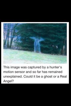 the image was captured by a hunter's motion sensor and so far has remaining unexplained could it be a ghost or a real angel?