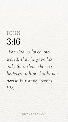 the words john 3 16 for god so loved the world, that he gave his only son