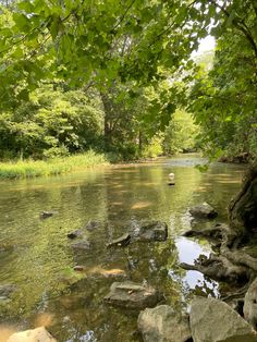 a river with rocks and water surrounded by trees