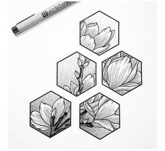 four hexagons with flowers drawn on them