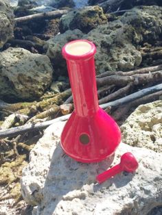 a red vase sitting on top of a rock next to the ocean with driftwood in the background