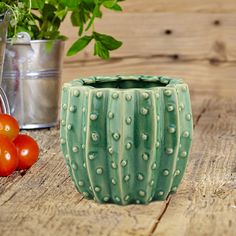 a potted plant sitting on top of a wooden table next to tomatoes and other vegetables