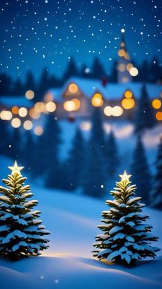 Warm glow of Christmas lights reflecting on a snowy landscape Massive House, Pretty Flowers Photography, Snowflakes Falling, The Audacity, Christmas Scenery, Making Spirits Bright, Christmas Phone Wallpaper, Cute Christmas Wallpaper, Christmas Post